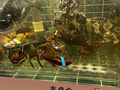 -丰卓会海鲜自助(中润大道店)