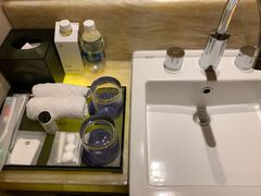 -芽庄喜来登水疗酒店