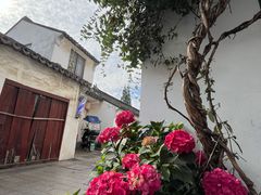 -常熟方塔园