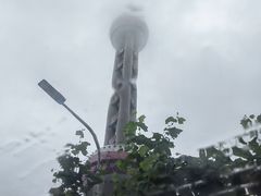 -BUS TOUR观光巴士