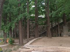 -阳台山自然风景区