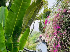 -深圳国际园林花卉博览园