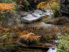 -光雾山旅游景区