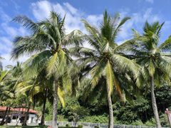 -三亚南山文化旅游区