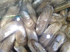 -蓝珊甄选海鲜自助·火锅大排档(近阿那亚店)