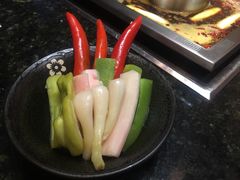 -王家渡火锅(三苏祠店)