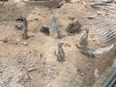 -福州动物园