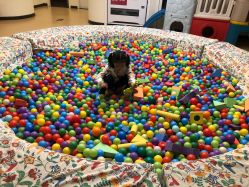 -北京惠民中医儿童医院