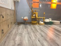 -BABIT巴比特宠物(MOMOPARK店)