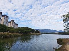 -飞来湖湿地公园