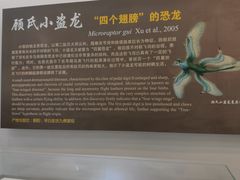 -辽宁古生物博物馆