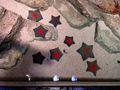 -沈阳海洋探索中心