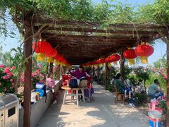 -同銮特种养殖场·龙虾垂钓