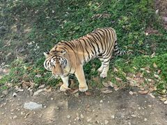 -西安秦岭野生动物园