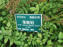 -黑龙江省森林植物园