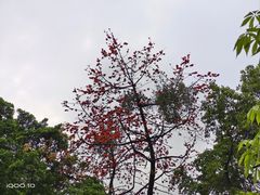 -烈士陵园(地铁站)