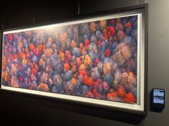 -罗红摄影艺术馆