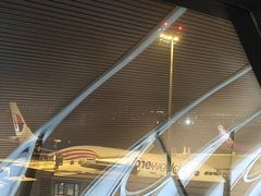 -上海浦东国际机场-T2航站楼