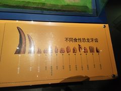 -柳州白莲洞洞穴科学博物馆