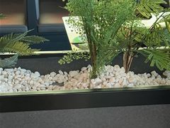 -淘蛙(潮州财富中心店)