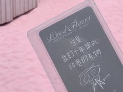 -南湖梦幻岛