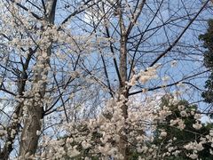-四川师范大学（成龙校区）-图书馆