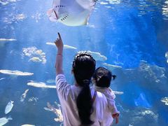 -华夏文旅海洋公园