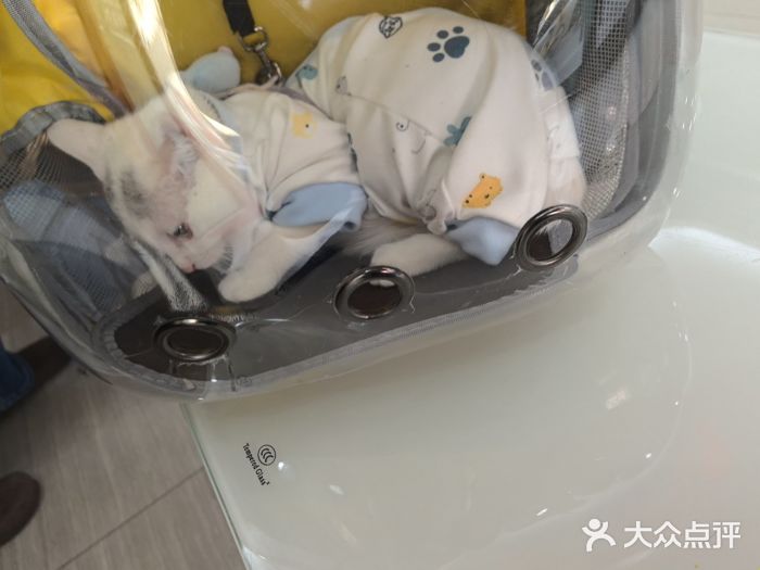全心全意连锁动物医院·微创中心·内科急重症·心脏专科(丰管路店)图片