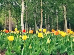 -长春公园(普阳街道)