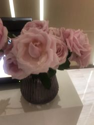 -苑苑vbeauty科技美容SPA