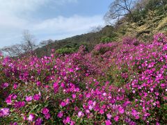 -广州市石门国家森林公园