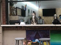 大堂-叁秋咖啡 SANQIU COFFEE(天津河北路店)
