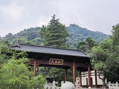 -天目山大树王景区