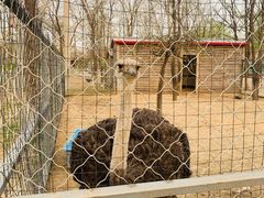 -必胜客(新中纬店)