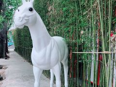 -向外鱼乐·土菜·虹鳟鱼