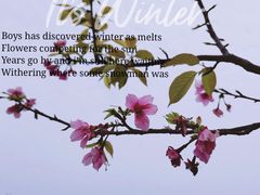 -厦门园林博览苑