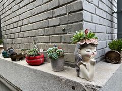 -庐灶江南·江南菜·四合院Bistro(东直门·华侨夜泊君亭店)