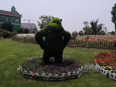 -荷兰花海
