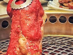 -千寻山野烤肉(中关村店)