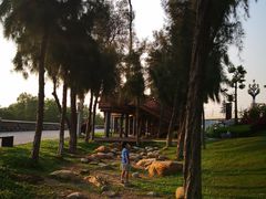 -宝安西湾红树林湿地公园