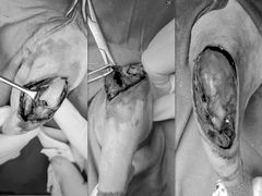 -东莞宠友24H宠物中心医院·转诊夜诊·异宠(新河北路院)