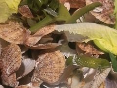 -三个渔夫·蒸汽海鲜(小白楼店)