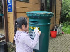 -五营红松林海景区