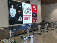 -贵阳龙洞堡国际机场-T2航站楼