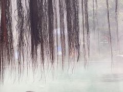 -青城道汤池