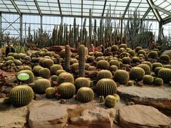 -南通洲际绿博园