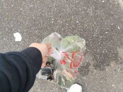 -东山矮马桶羊肉(太湖东山店)