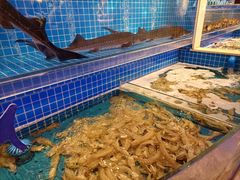 水产区-乔哥铭洋海鲜自助(皇城恒隆广场店)