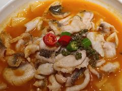 -刘胖子家常菜·蹄花焖藕(兴业店)