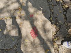 -西湖风景区十里琅珰-五云山